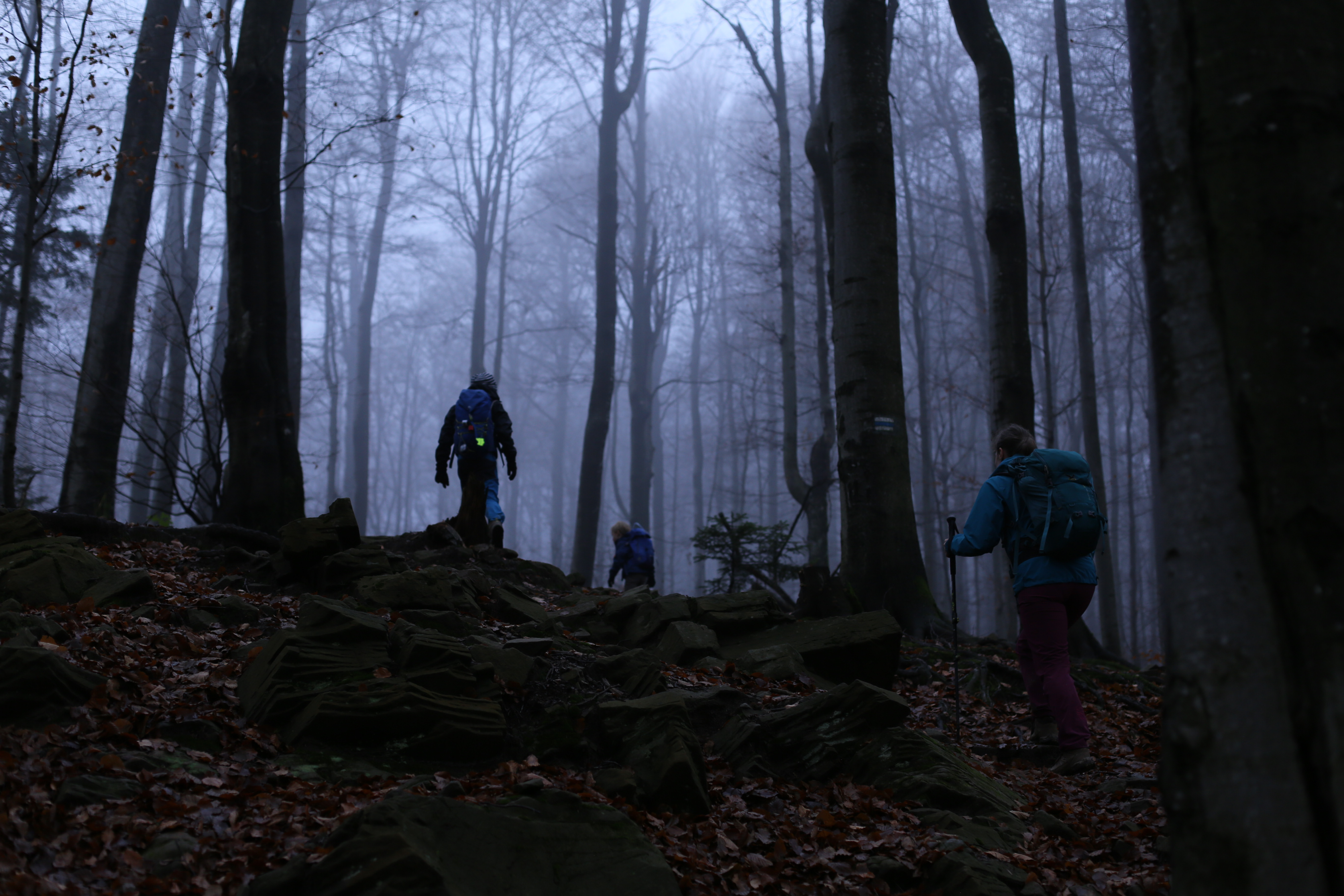 Podejście zamglonym szlakiem na Wielką Rawką.