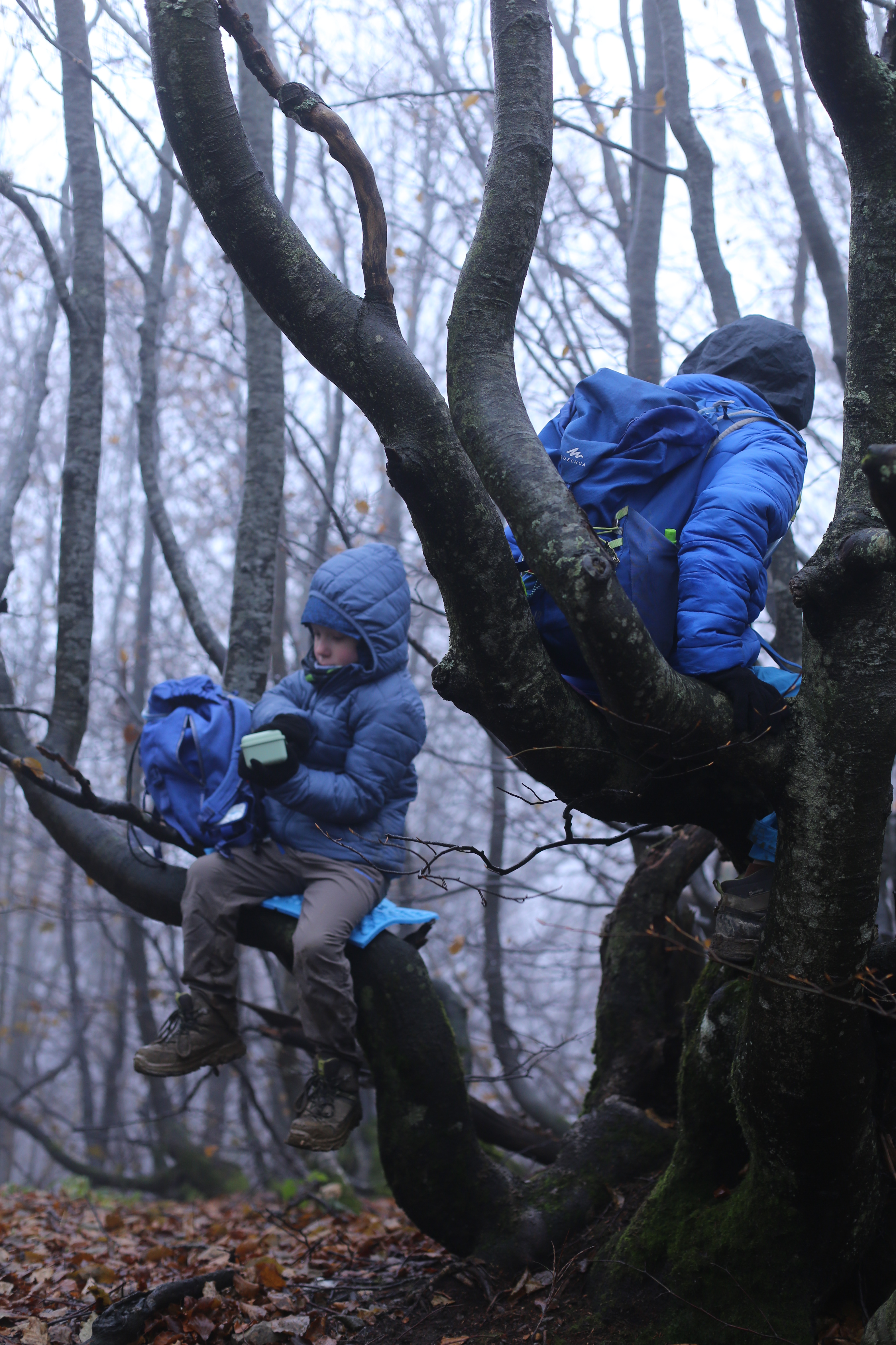 Przerwa w zagajniku między Wielką a Małą Rawką.