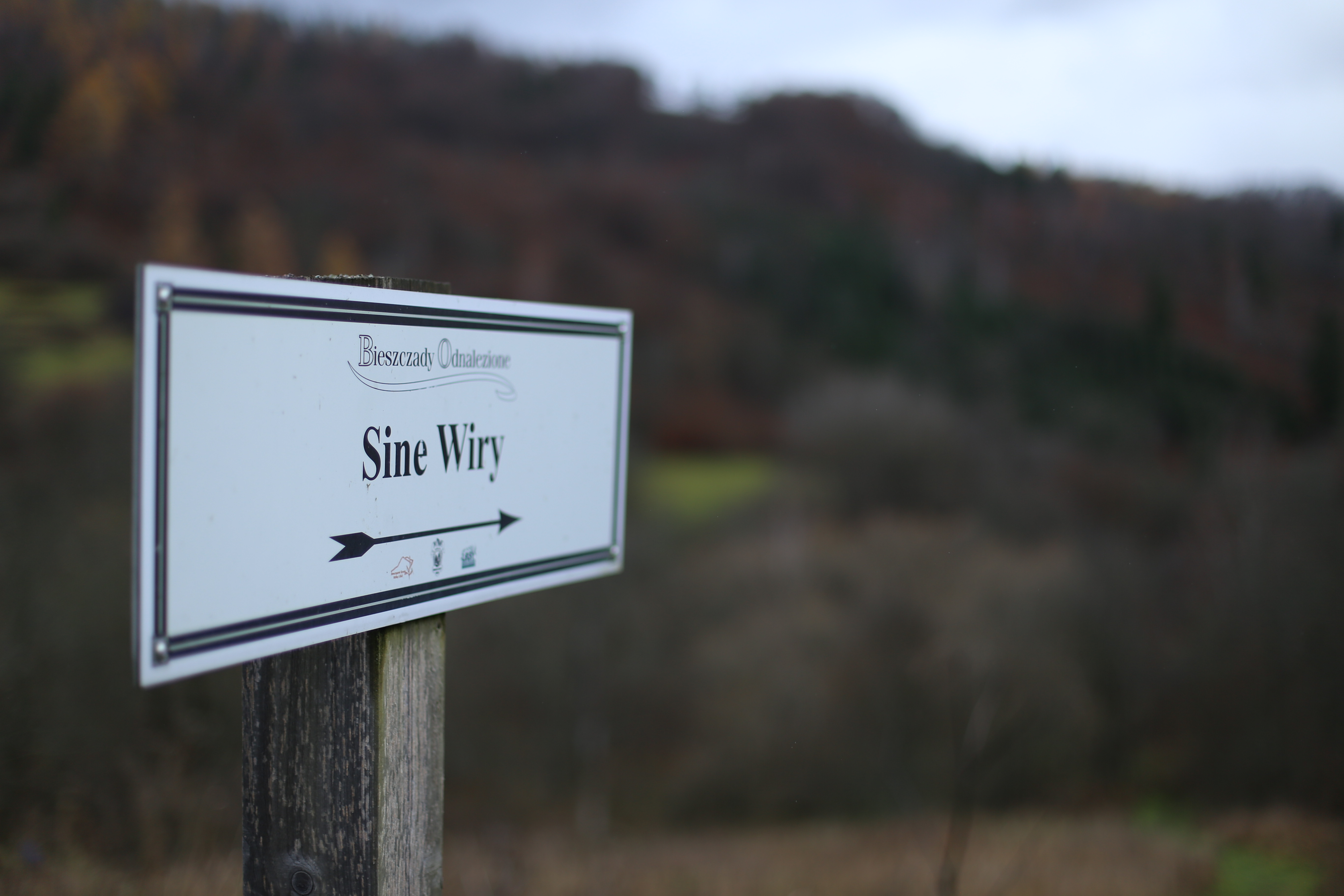 Tabliczka wskazująca kierunek do Sinych Wirów.
